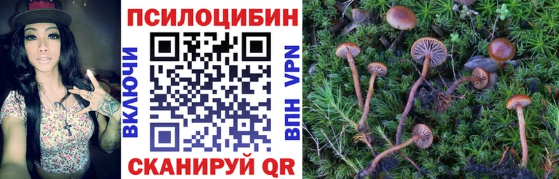 Псилоцибиновые грибы GOLDEN TEACHER площадка состав Котлас